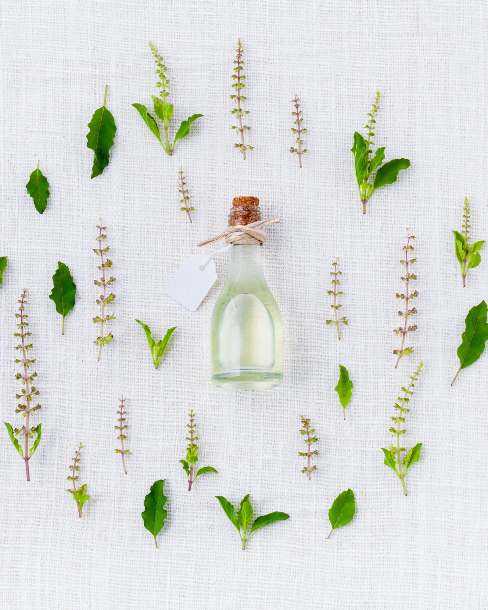 Grissini – Vesterhavsost – Trøffelcreme